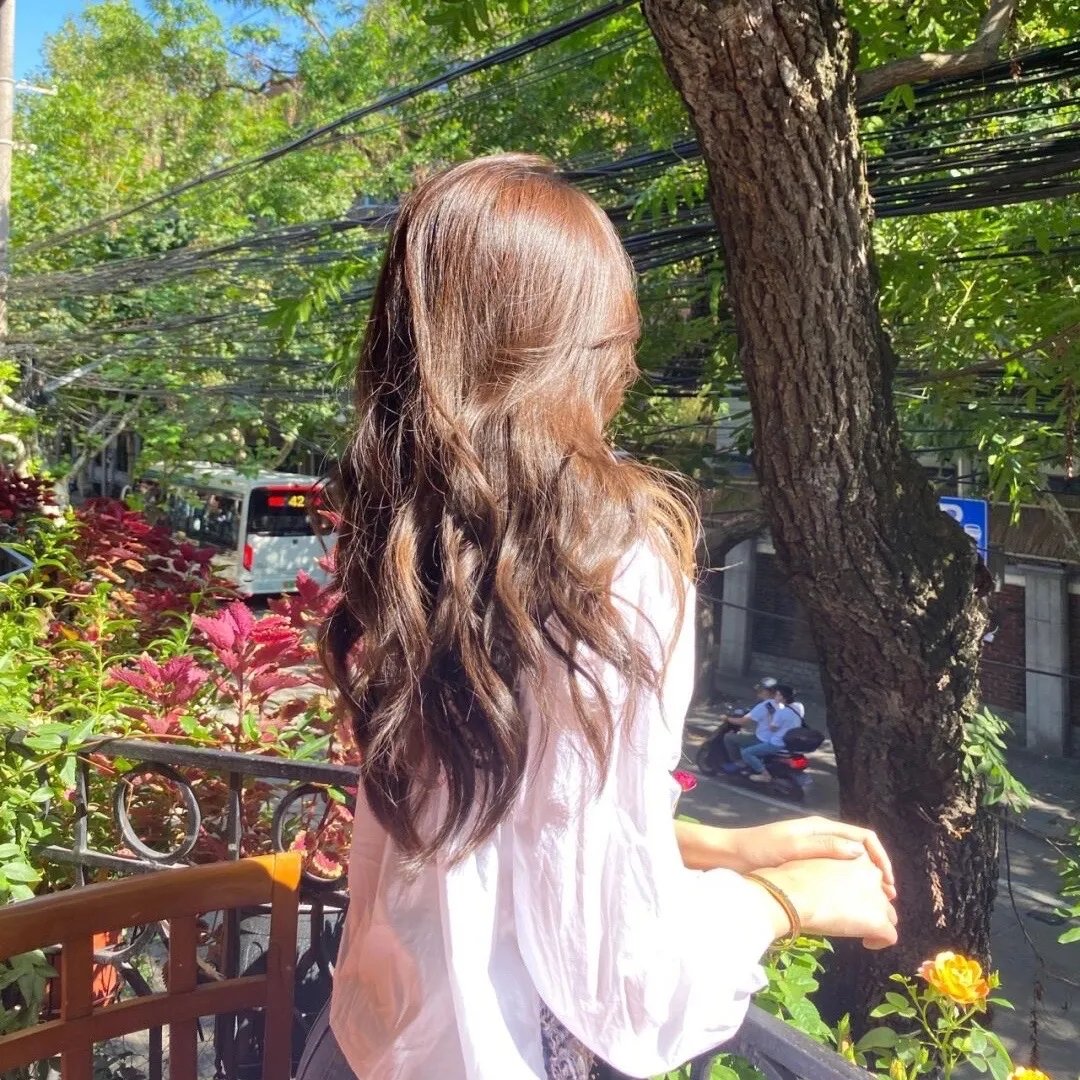 后宫